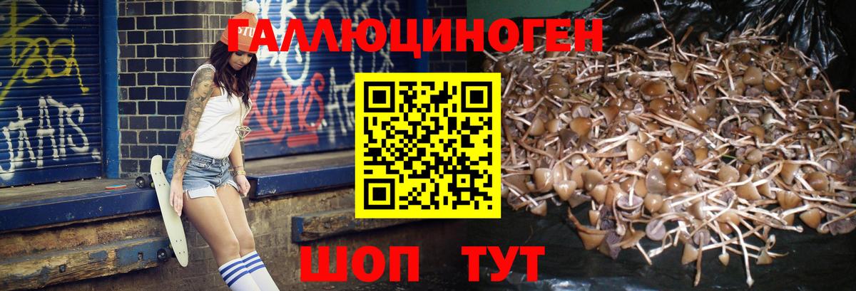 Галлюциногенные грибы Magic Shrooms  даркнет сайт  Крымск  Вход с VPN 